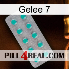 Jelly 7 28